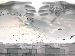 Shelter in Air - one